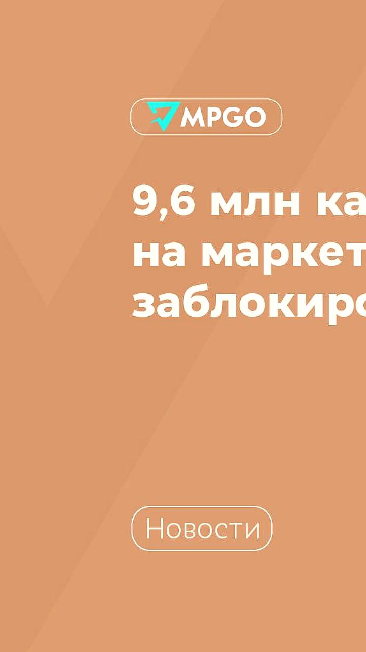 ФАС заблокировала более 9,6 млн карточек товаров на маркетплейсах из-за контрафакта