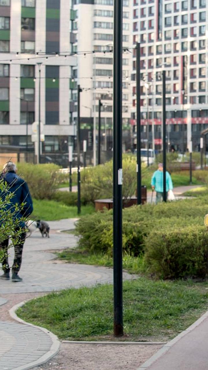 Губернатор Санкт-Петербурга ограничил работу иностранных курьеров