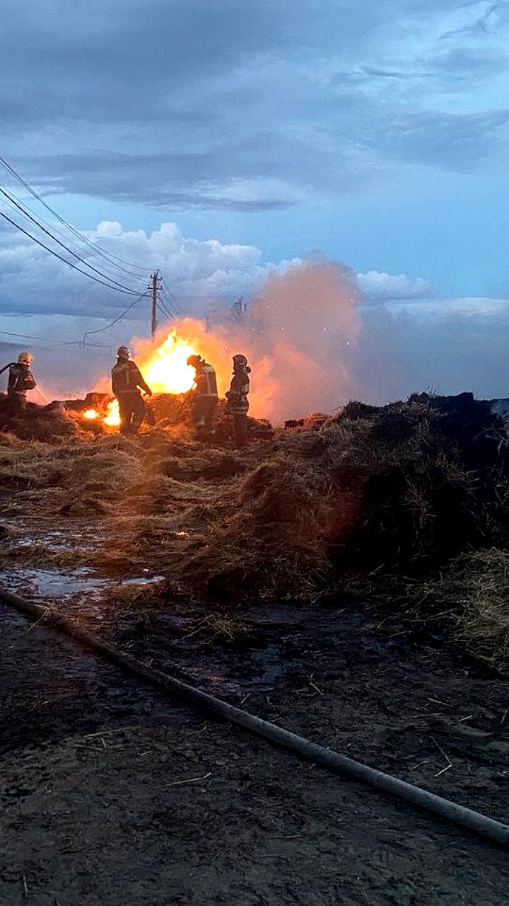 Пожары в Ярославской области: спасены животные, тушение продолжается