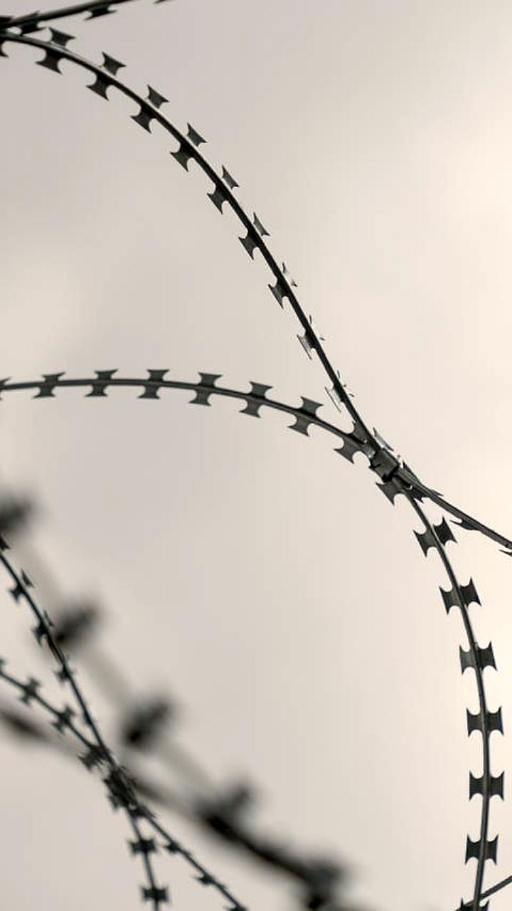 Суд удовлетворил иск Сергея Застынчану о компенсации за задержку доставки сканвордов