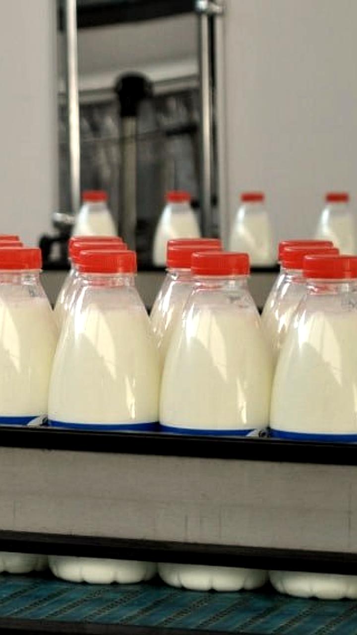 Российские производители молока рассматривают возможности экспорта в Китай