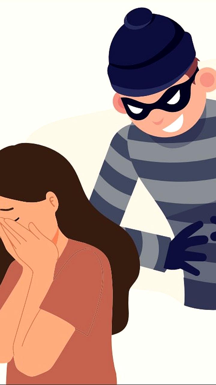 ЛДПР инициирует меры по защите детей от интернет-мошенничества