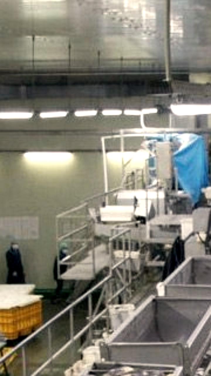 Сотрудница рыбзавода на Камчатке получила тяжелую травму руки
