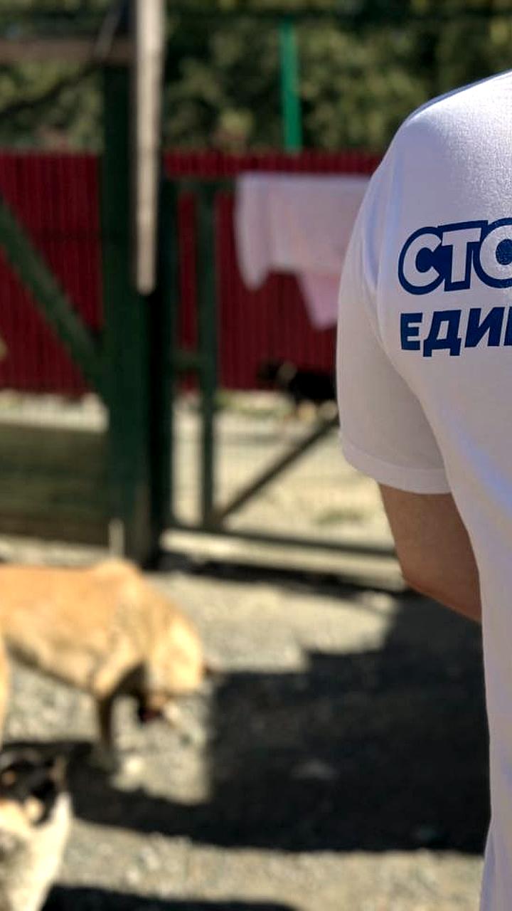 Активисты «Волонтерской Роты» поддерживают приюты для животных в Москве и Подмосковье