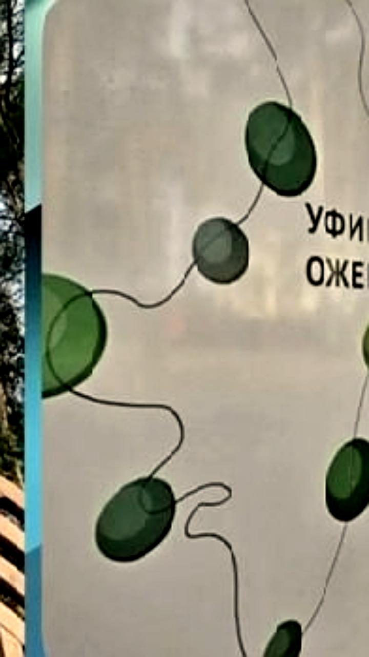 В Москве установлено 2,6 тыс. новых указателей в рамках программы навигации