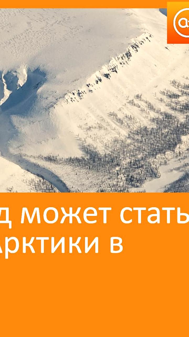 В России может быть объявлен Год Арктики в 2027 году