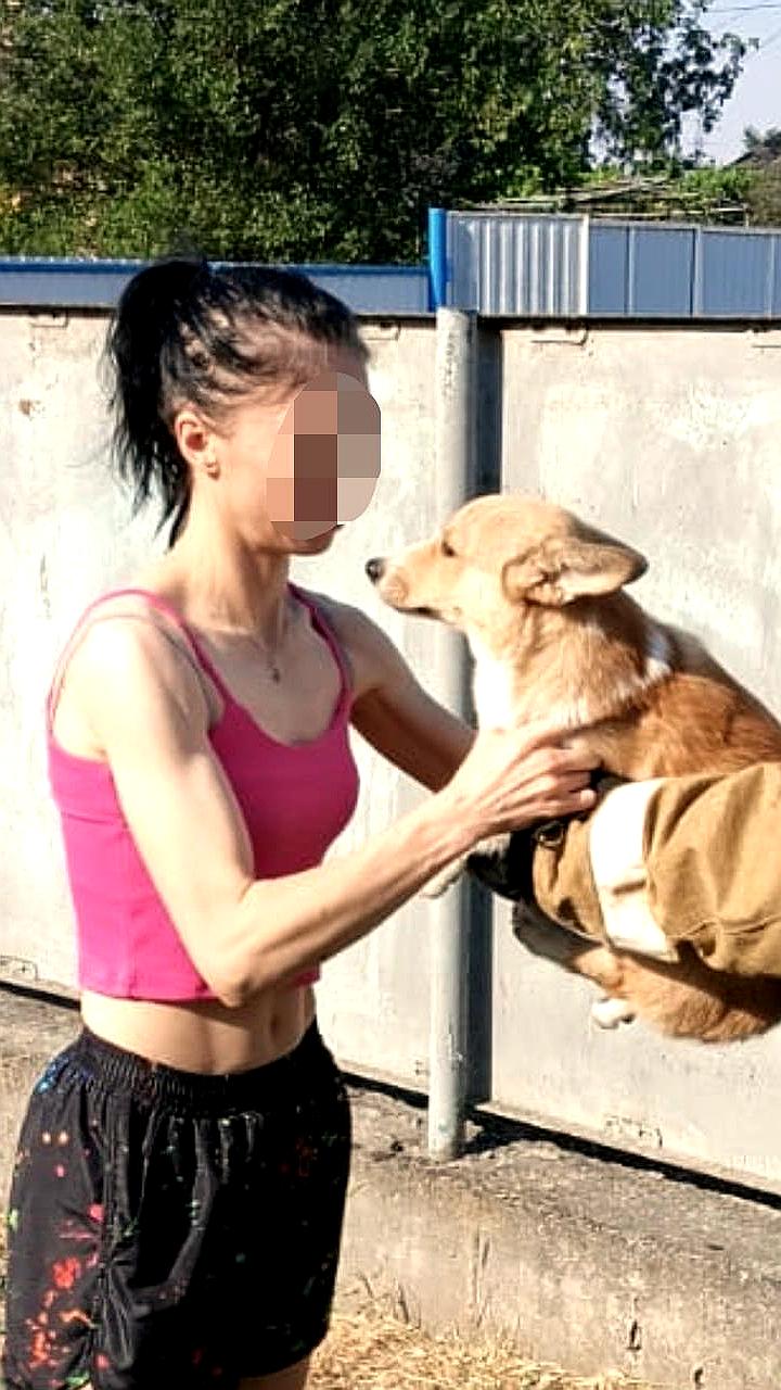 Пожарные спасли застрявшего пса в селе Киевское