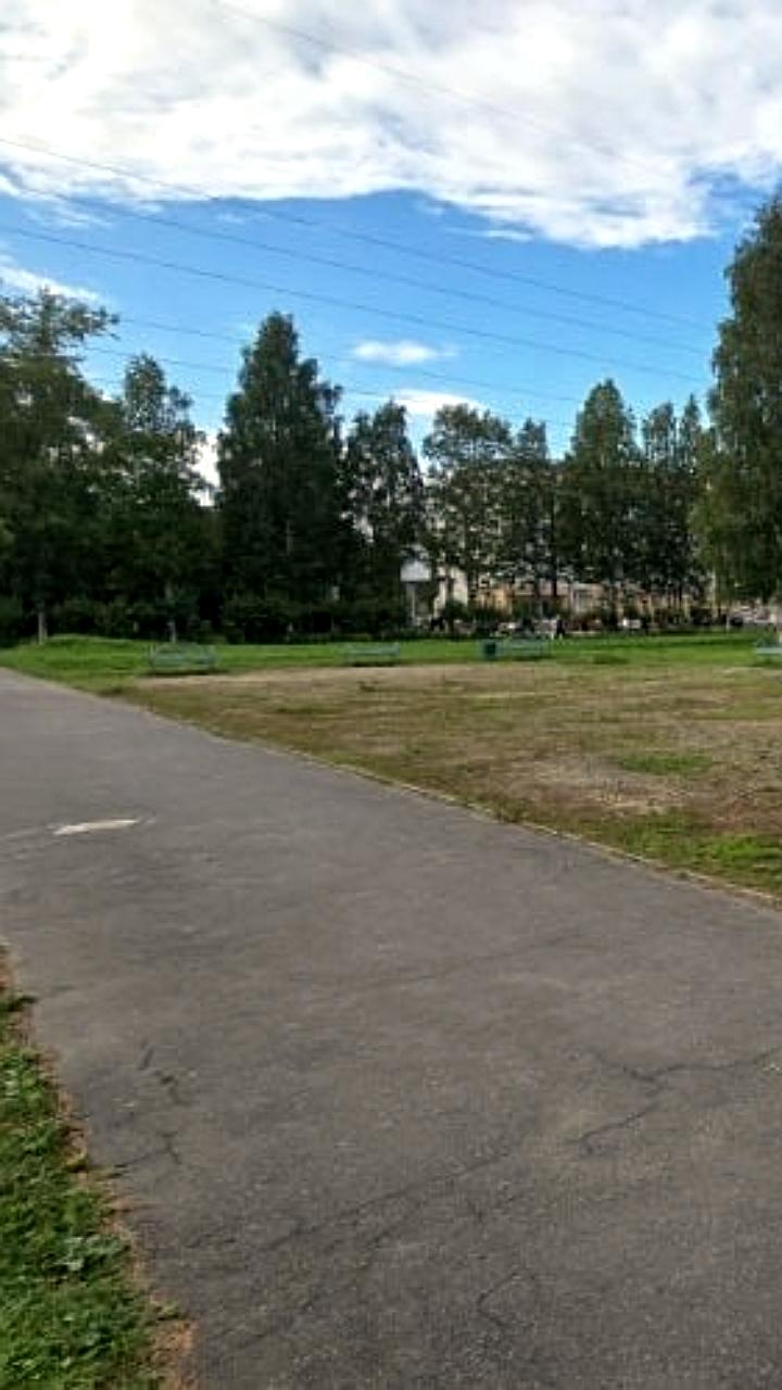 Начало благоустройства парка имени Ломоносова: проектирование и новые детские площадки