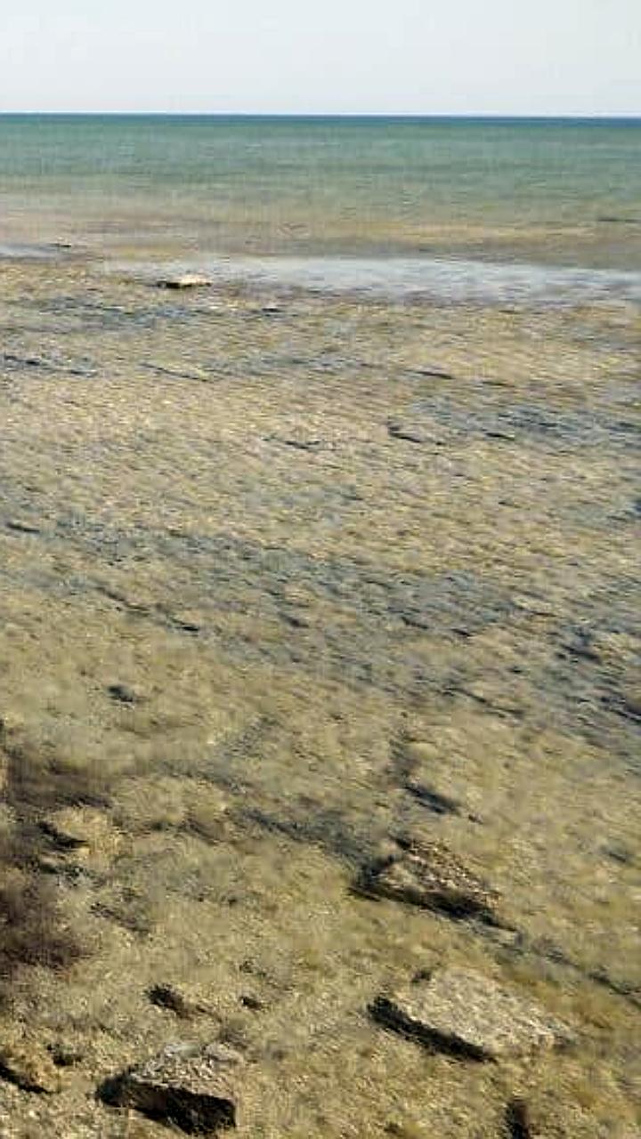 Казахстан выделяет 846 млн тенге на исследование Каспийского моря