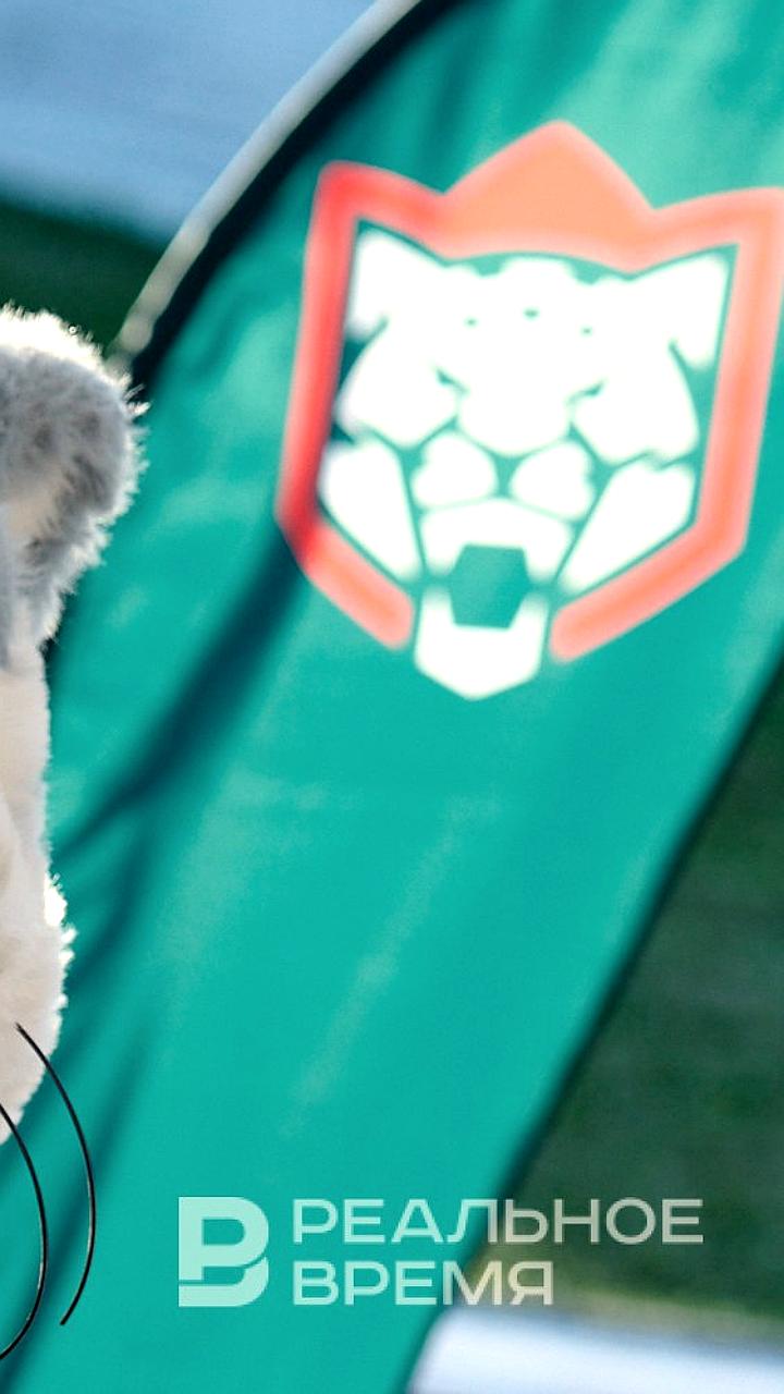 В Татарстане создается научный центр для сохранения снежных барсов