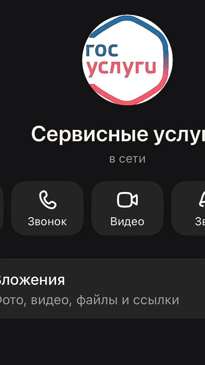Пользователь Max столкнулся с мошенниками, выдающими себя за Госуслуги