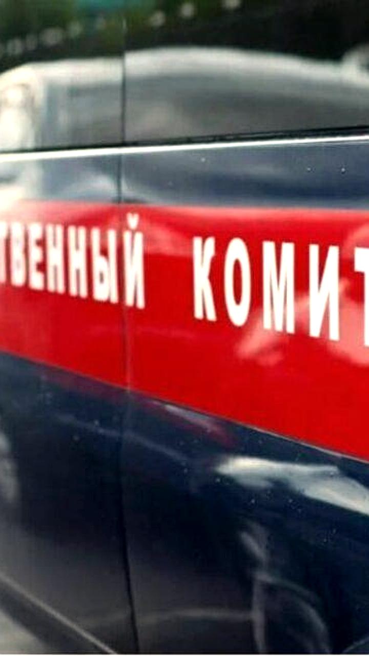 Нижегородец задержан за реабилитацию нацизма в соцсетях
