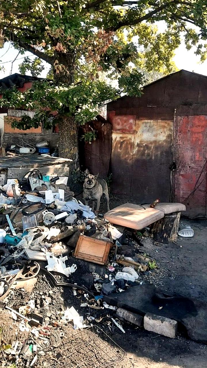 Трое мужчин погибли в Петербурге от отравления омывайкой, возбуждено уголовное дело
