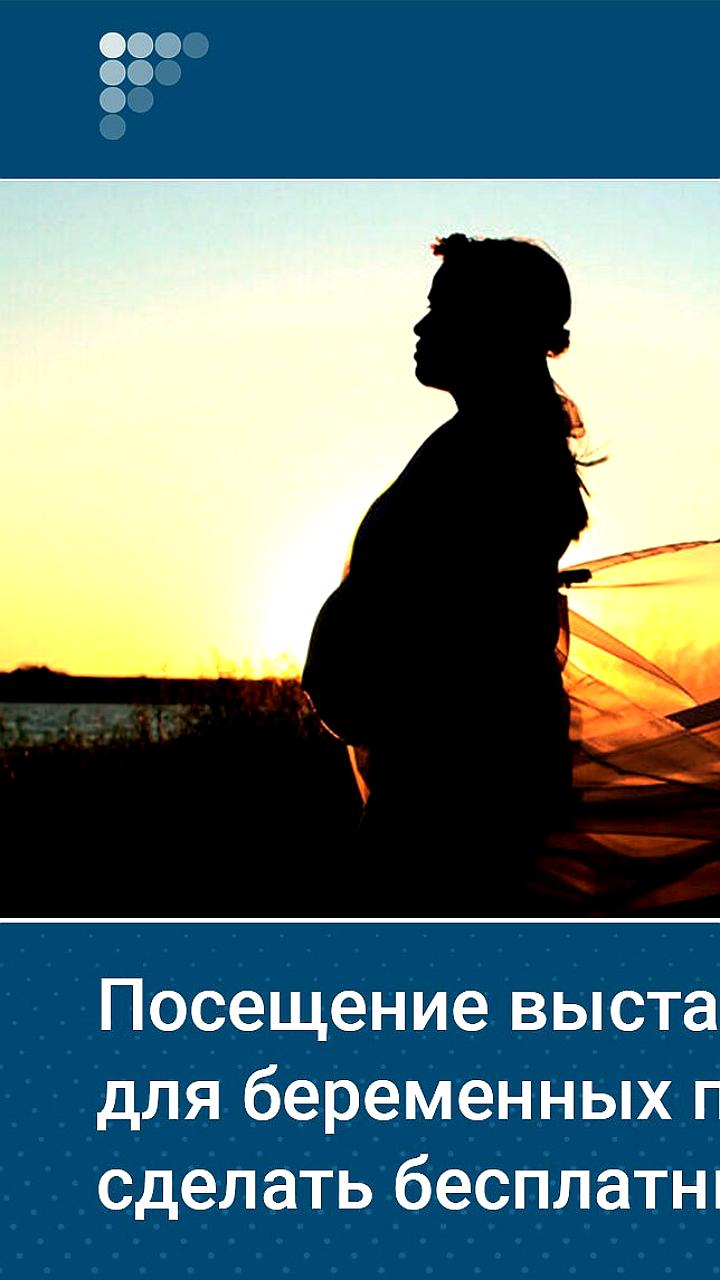 В Госдуме предложили бесплатное посещение музеев для беременных и родителей детей до 1,5 лет