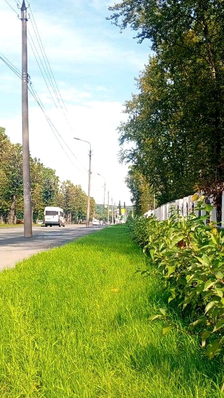 В Улан-Удэ высаживают более 3500 новых деревьев и кустарников