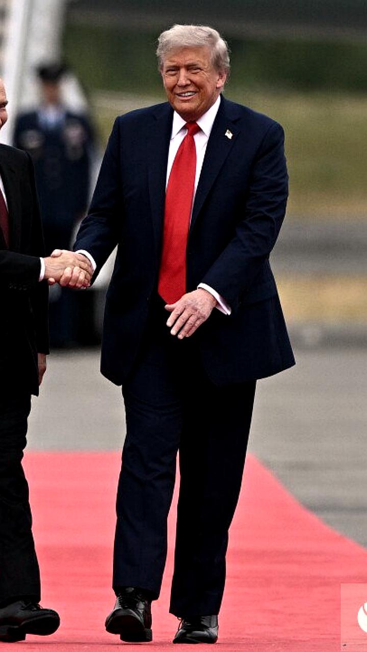 Путин и Трамп обсуждают доверие на встрече в Аляске, по мнению Кнайсль