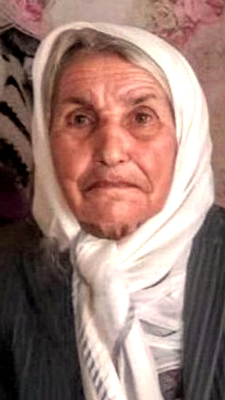 110-летняя пенсионерка найдена живой после трехдневных поисков в Нижегородской области