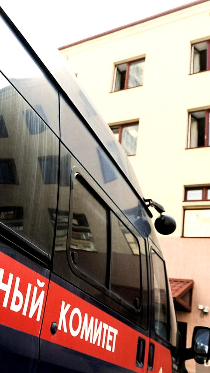 В Пермском крае возбуждено уголовное дело по факту сексуальных преступлений против малолетних