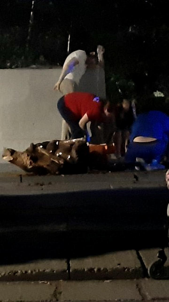 Трагедия в Саратове: девочка погибла от падения скульптуры в парке
