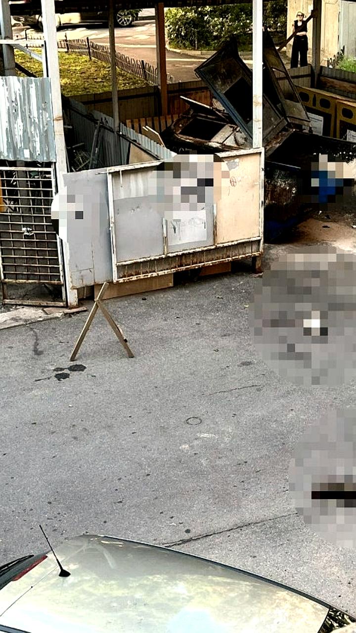 В Петроградском районе зафиксировано убийство кошек: жильцы обратились в полицию