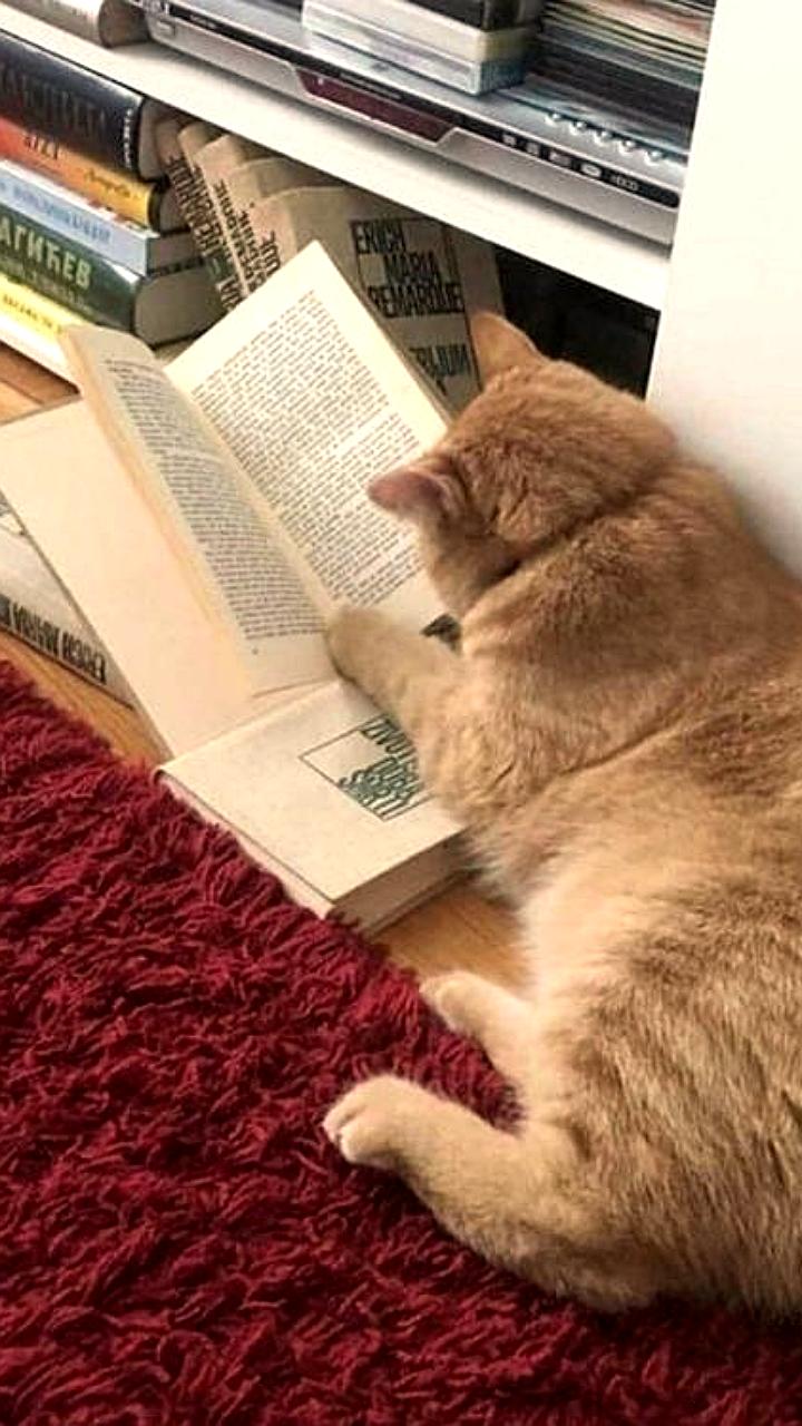 Книжный фестиваль и музыкальный праздник в Екатеринбурге: встреча с писателями и концерты