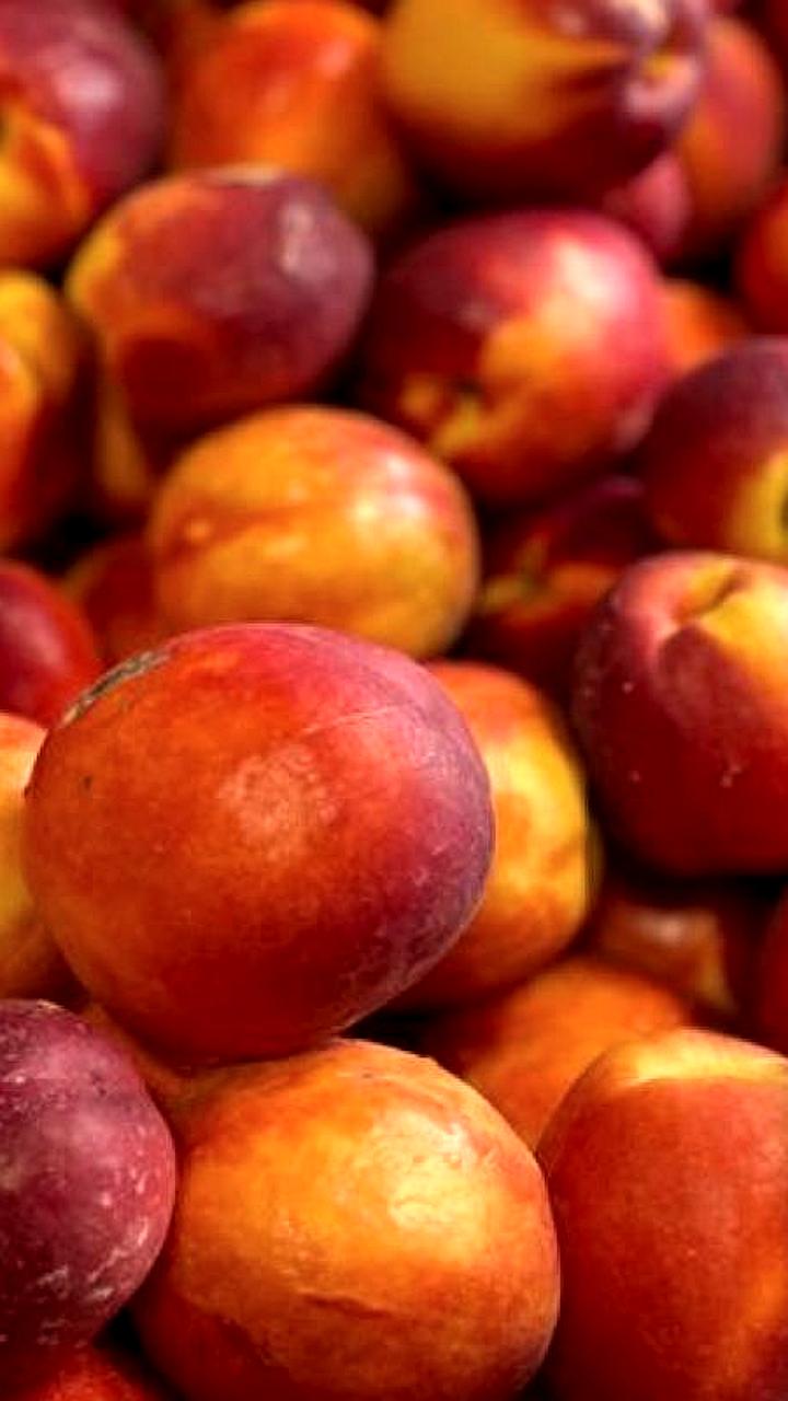 Россельхознадзор возвращает продукцию из Беларуси и приостанавливает ввоз рыбы из Марокко