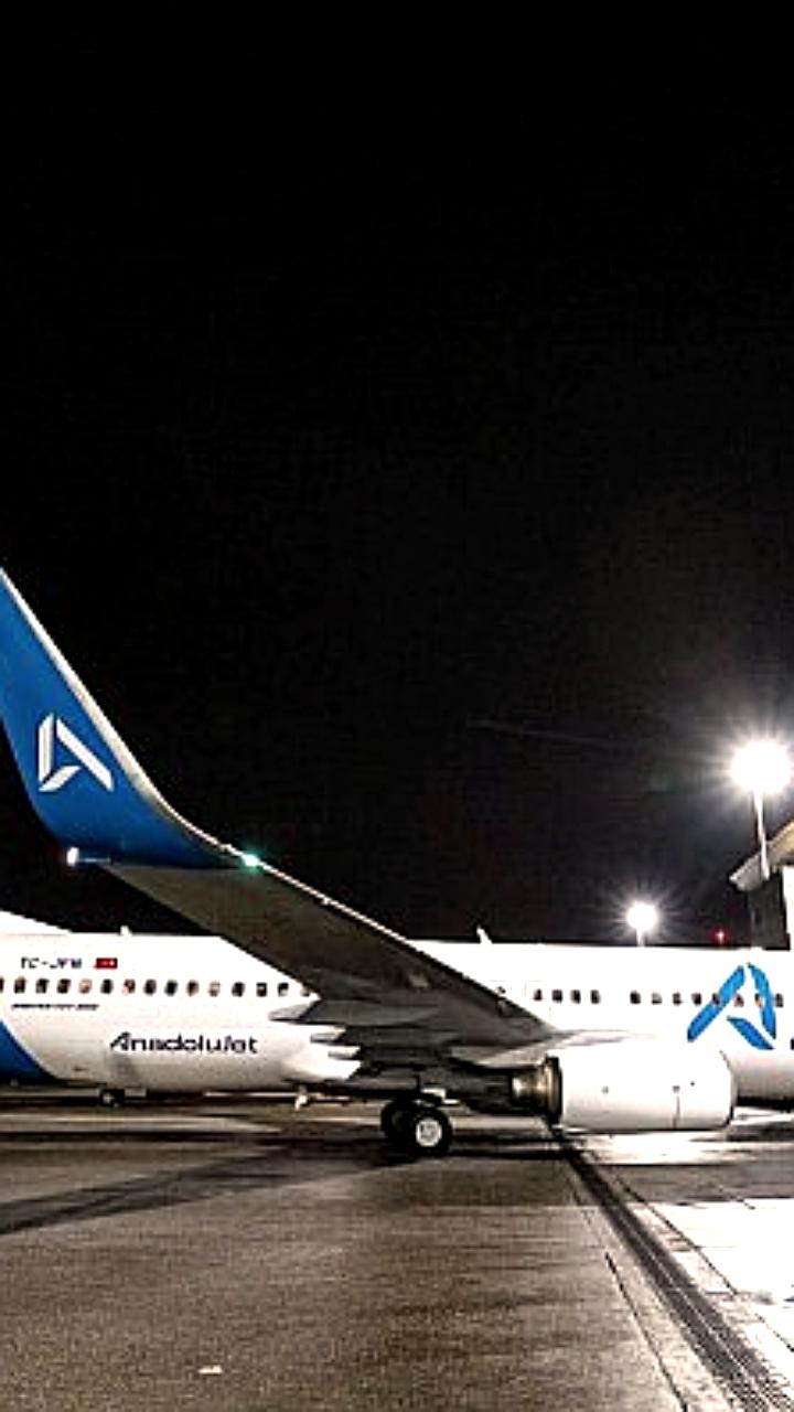 Ajet ограничивает провоз животных в багажном отделении с 1 сентября