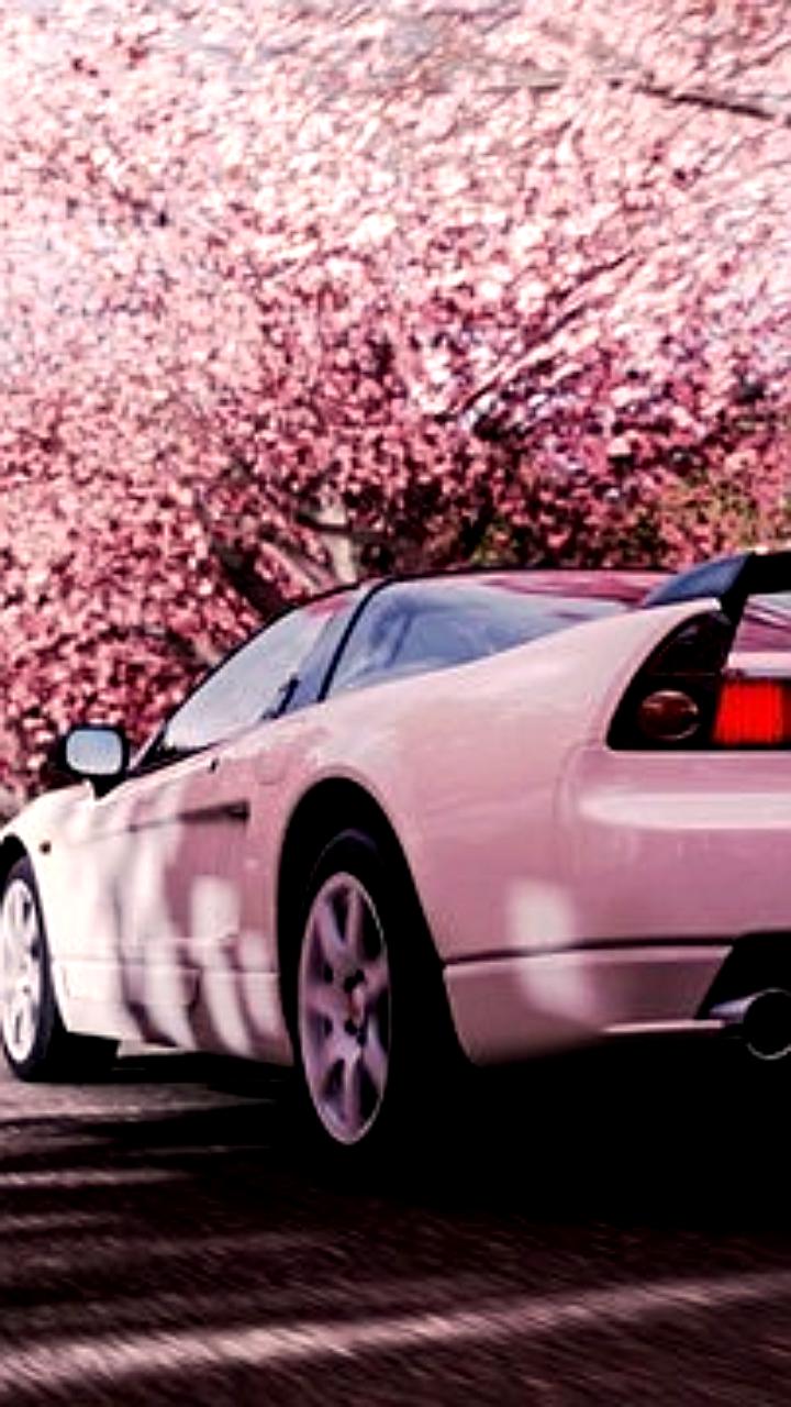 Forza Horizon 6 может развиваться в Японии, согласно утечкам от Cult Classic