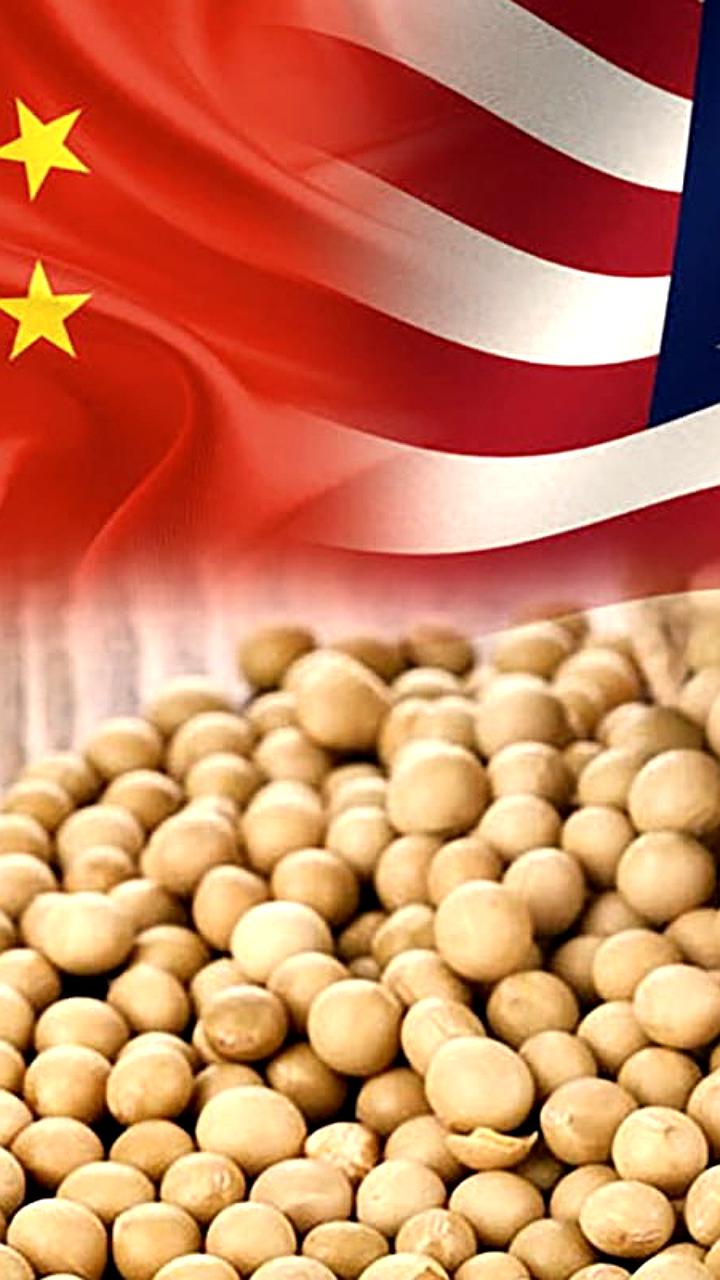 Россия и Китай изменили рынок сои, снизив спрос на американскую продукцию
