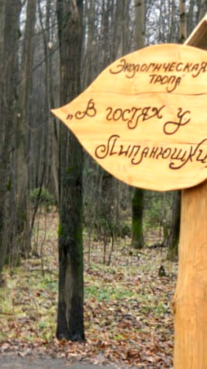 Жители Богородского и депутат из Пригородного района подозреваются в мошенничестве