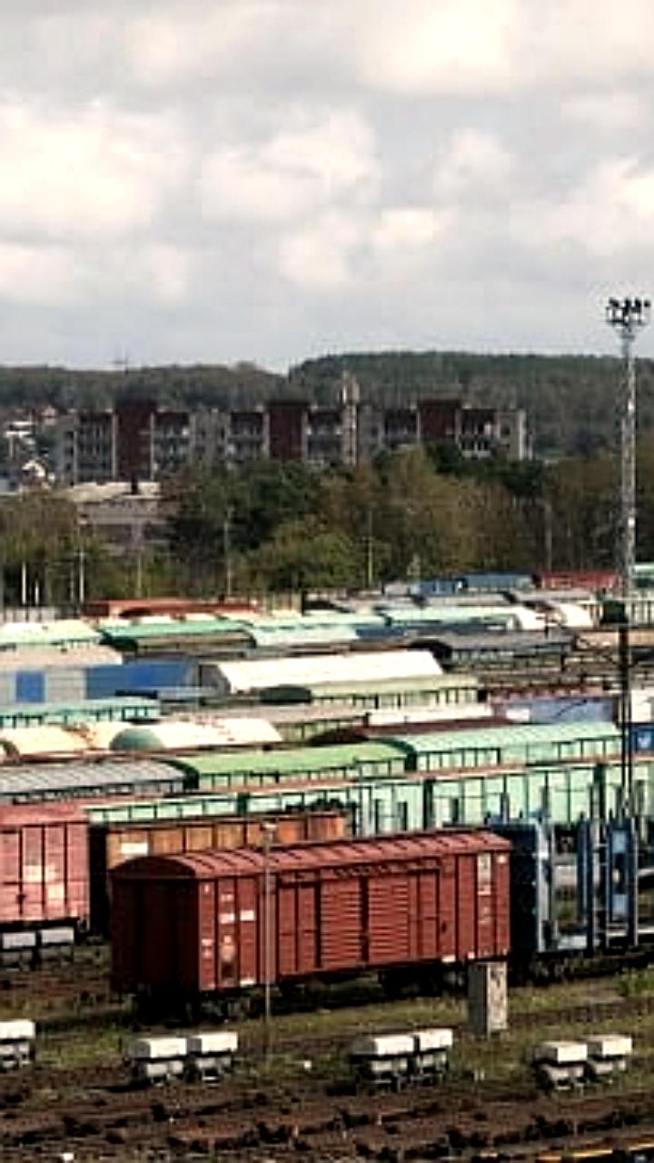 Стоимость стоянки грузовых вагонов увеличилась на 2,5 раза из-за роста спроса