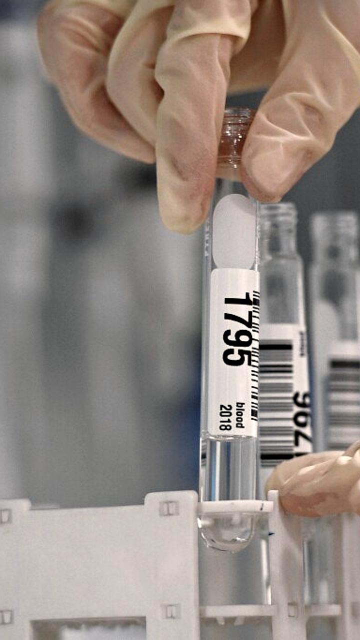 WADA инициировало дисциплинарные меры против 280 российских спортсменов