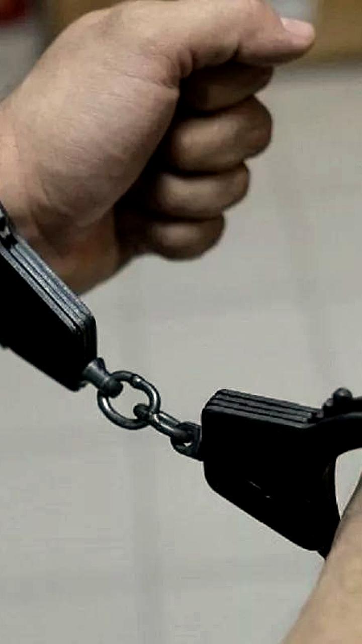 Председатель ДОСААФ Краснодарского края Борис Левитский арестован по обвинению в превышении полномочий