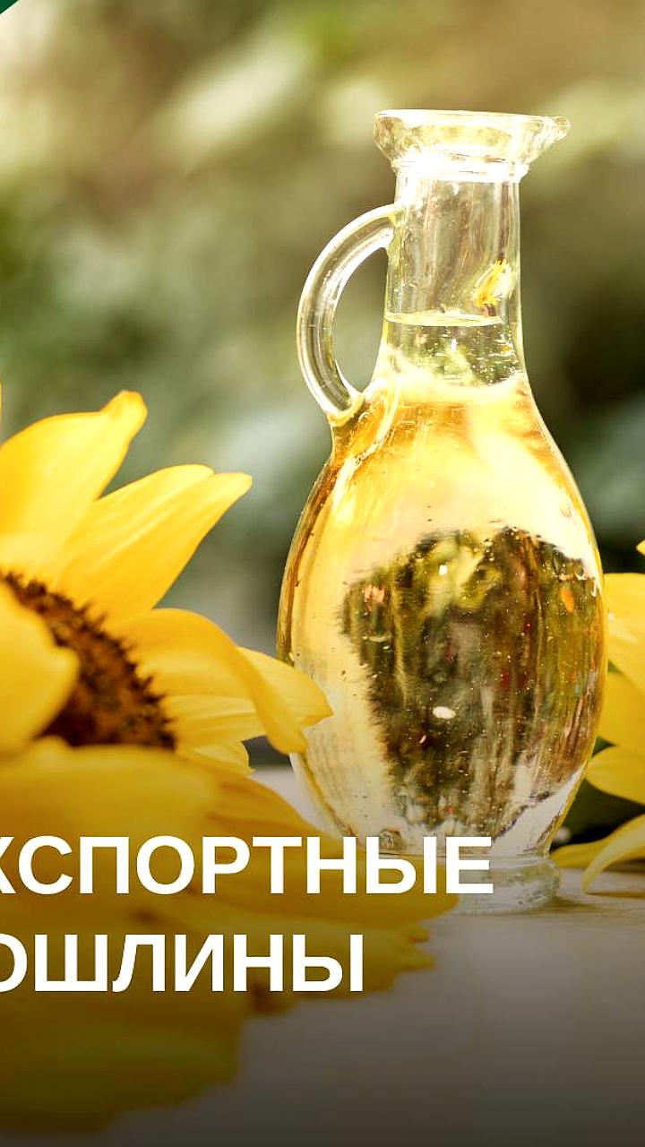 Пошлина на экспорт подсолнечного масла из России в сентябре увеличится