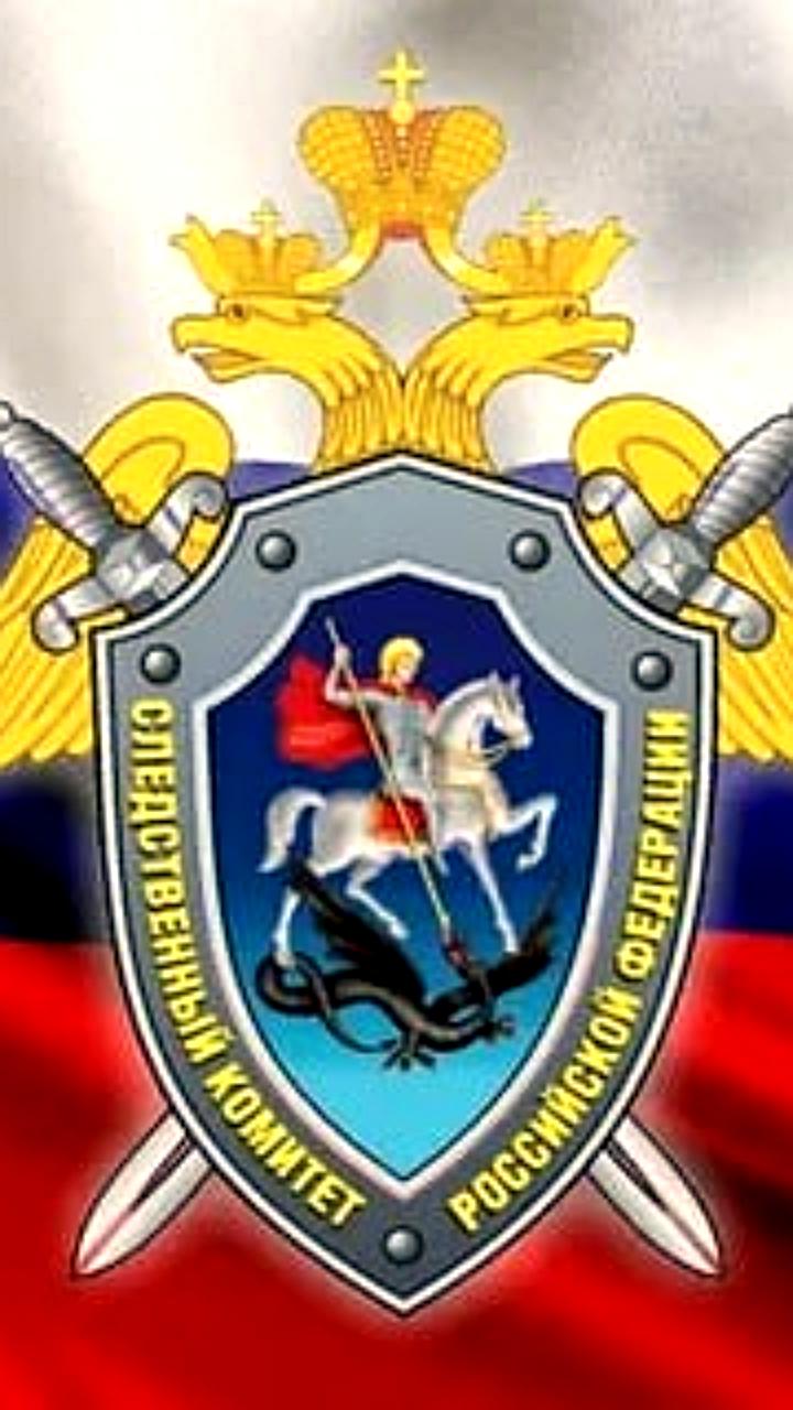 Председатель СК России поручил расследовать нападения на несовершеннолетних в Свердловской области и Москве