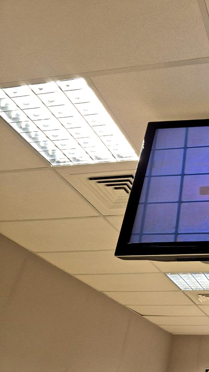 Петербургский суд подтвердил приговор активистке Дарье Козыревой за антивоенные акции