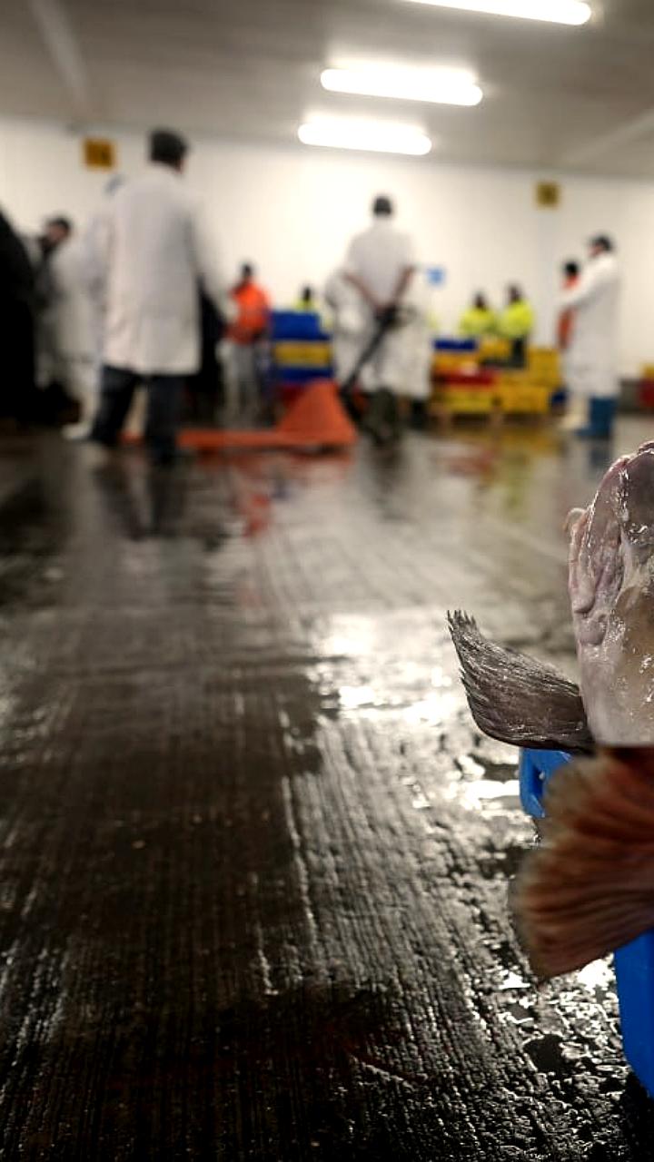 Россия угрожает ограничениями в ответ на санкции Норвегии против рыбопромысловых компаний