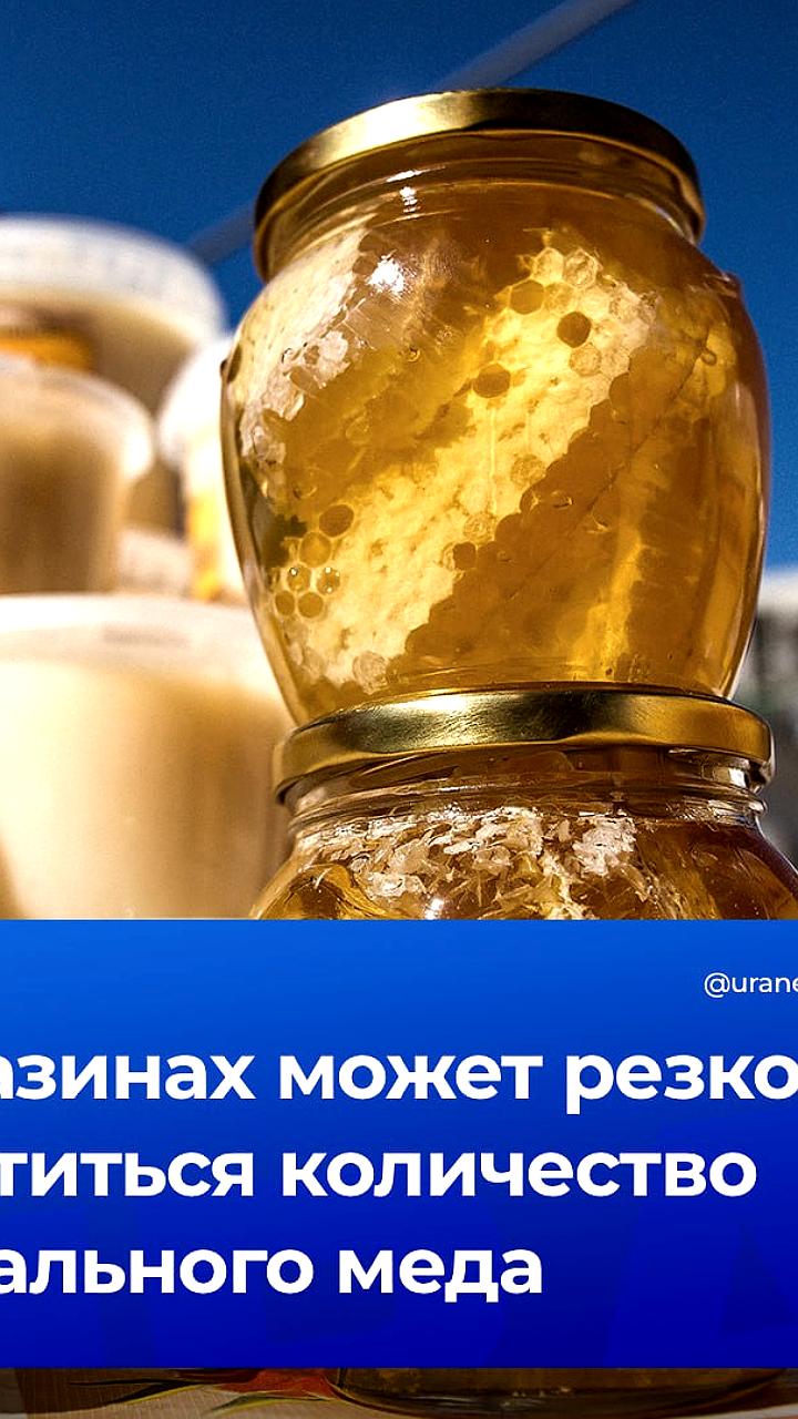 Сокращение натурального меда в России: прогнозы Союза пчеловодов