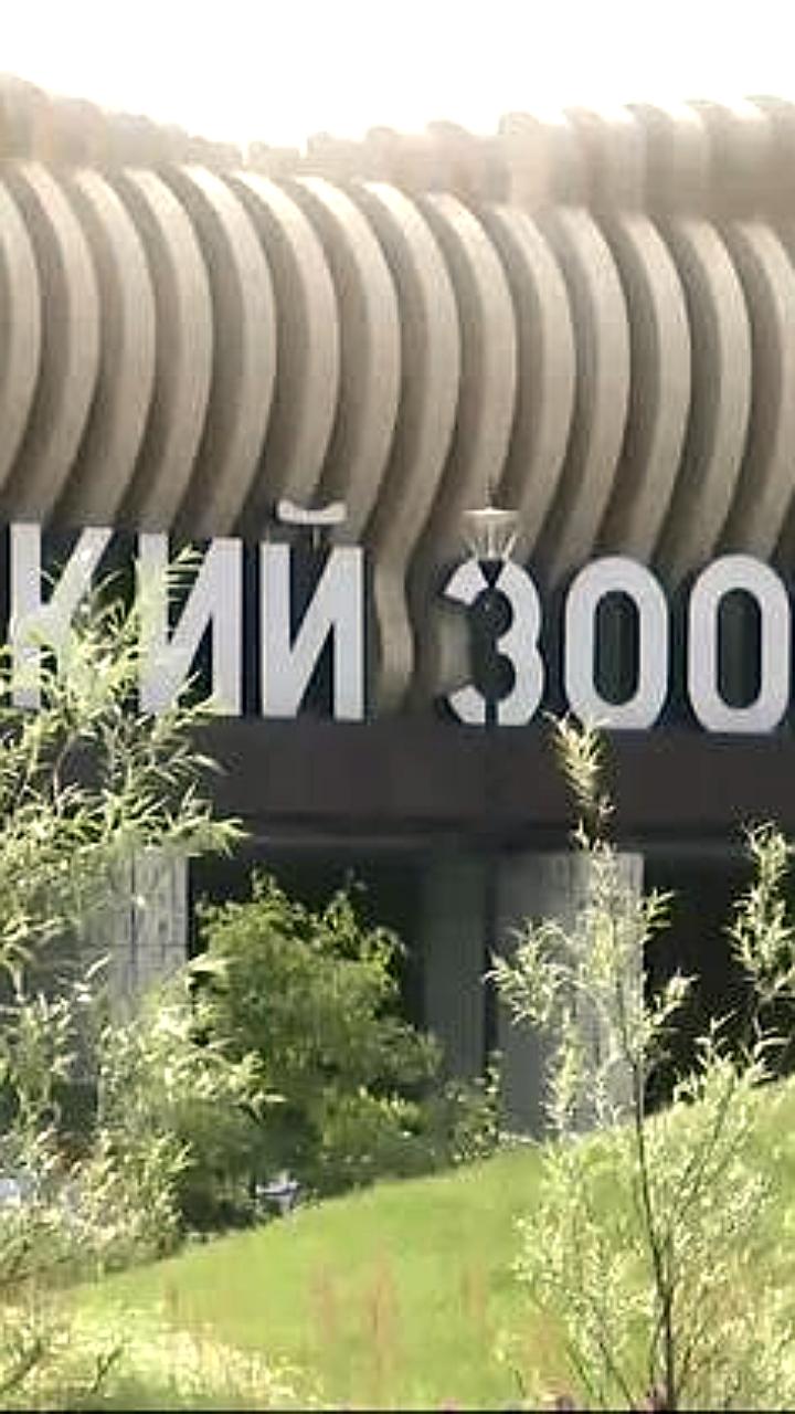 Пермский зоопарк открывает двери для первоклассников в День знаний