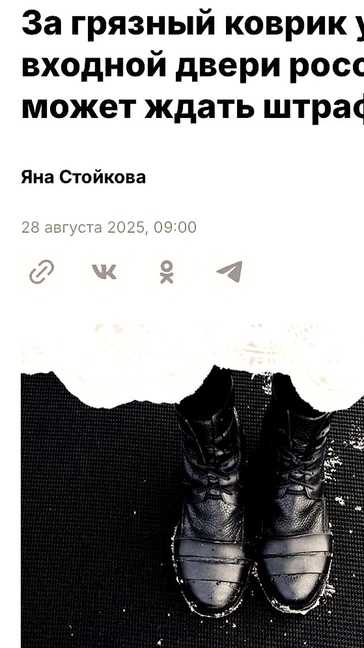 Россиян могут оштрафовать за грязные коврики у входа