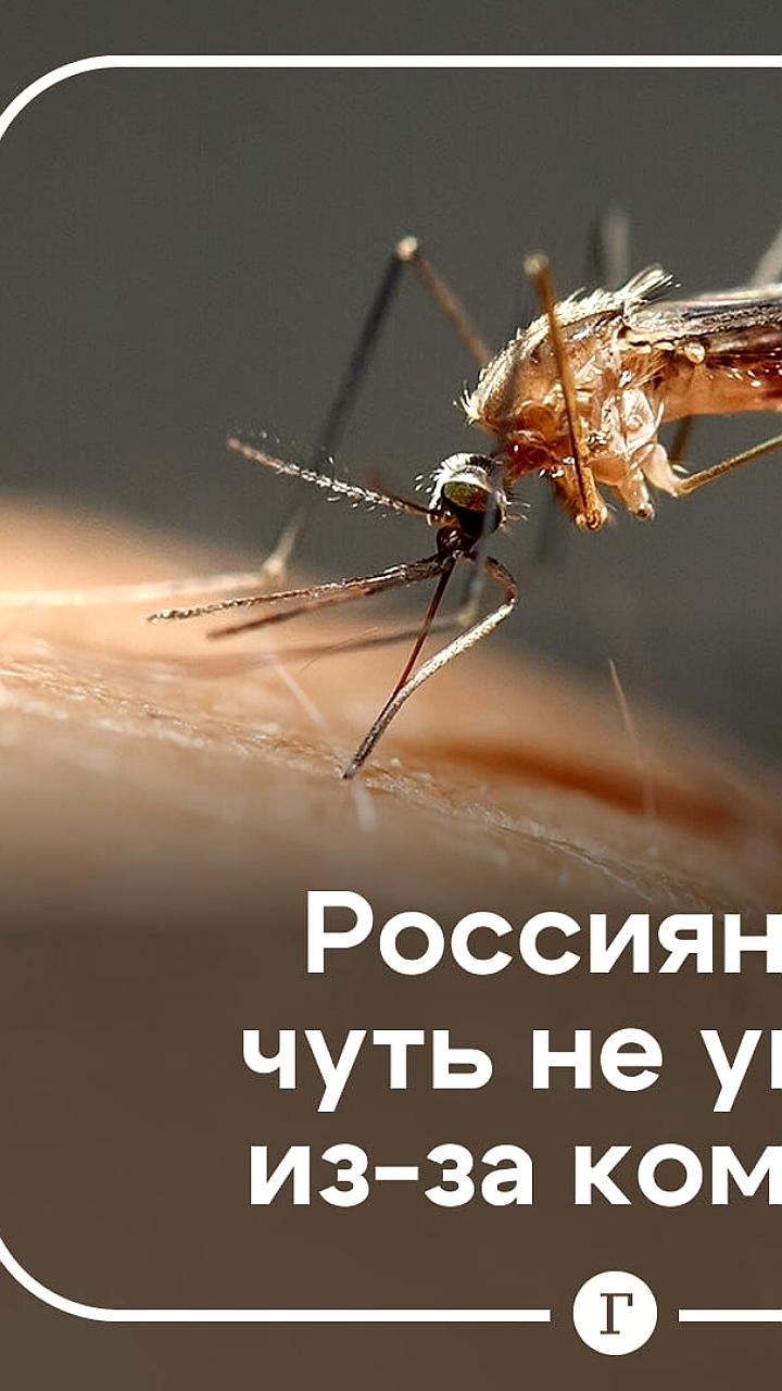 Российский турист госпитализирован с лихорадкой Денге после возвращения с Шри Ланки