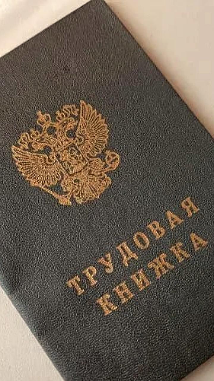 Летнее трудоустройство подростков: 766 школьников в Красноармейском районе и 1005 в Ненецком АО
