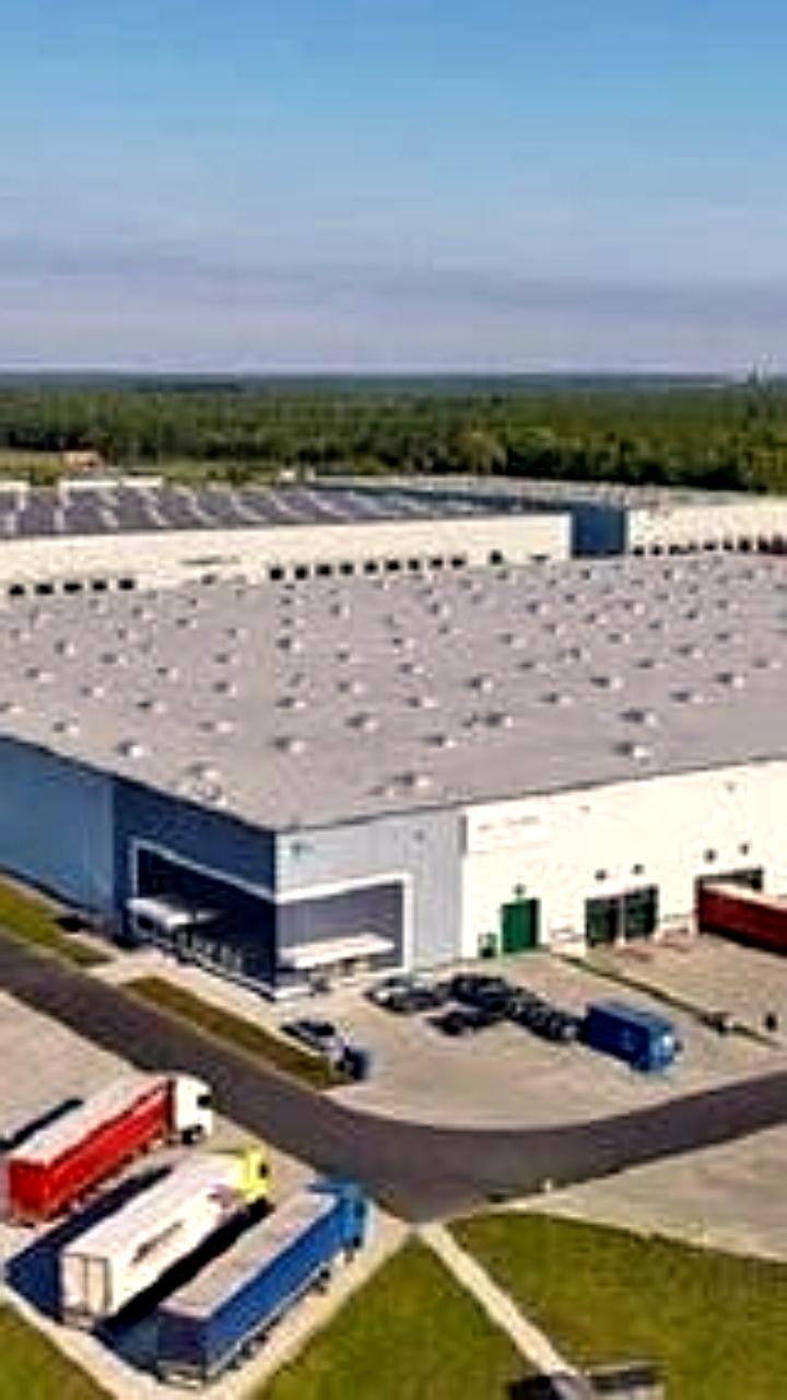 Россия запускает индустриальные парки в Таджикистане и Египте к 2026-2027 годам