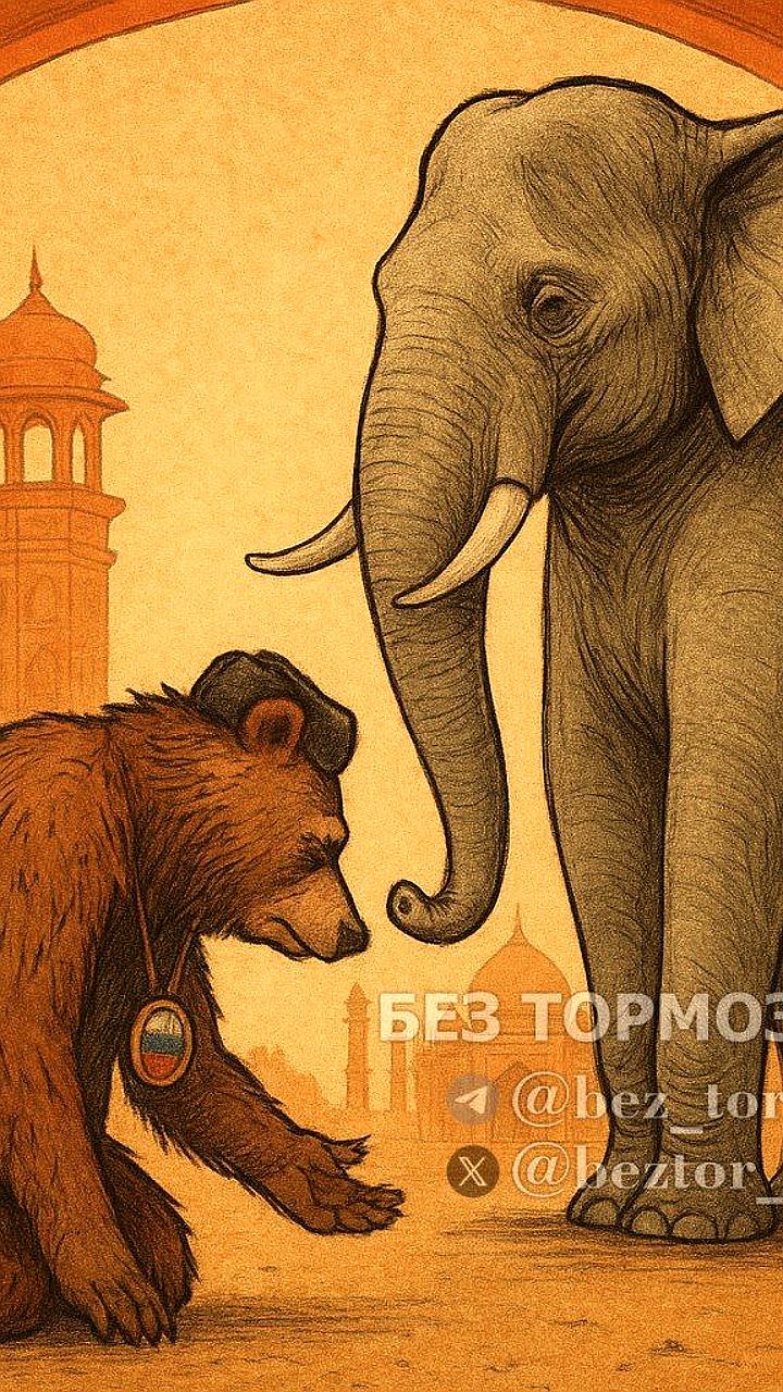 Визит Путина в Индию запланирован на декабрь 2023 года