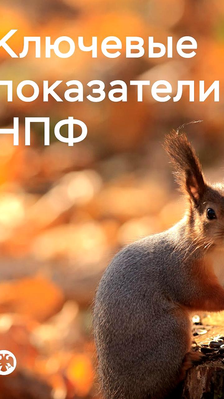 Пенсионные резервы НПФ достигли 9 трлн рублей с ростом на 7,3% во II квартале 2025 года