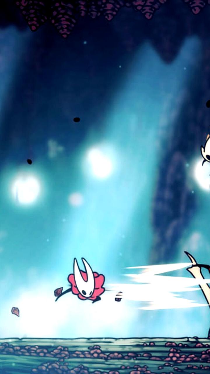GameStop анонсирует цену Hollow Knight Silksong в 20 долларов