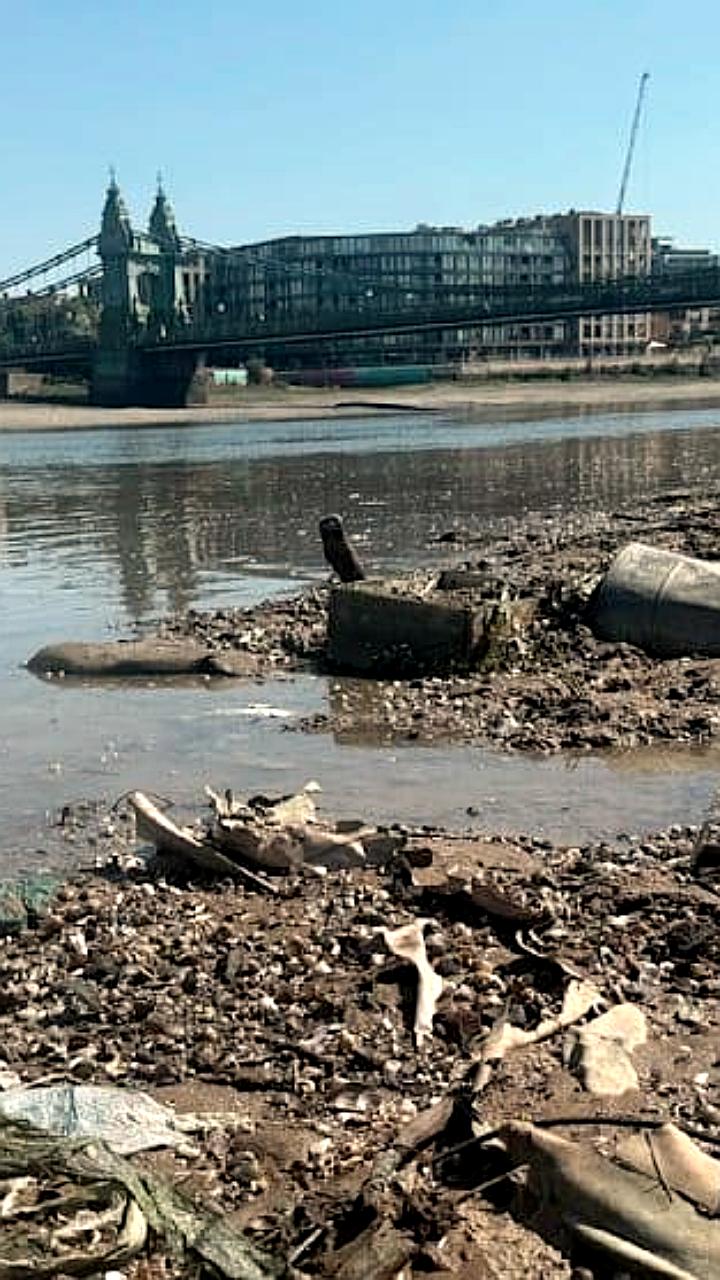 В Лондоне началась очистка острова из 180 тонн влажных салфеток