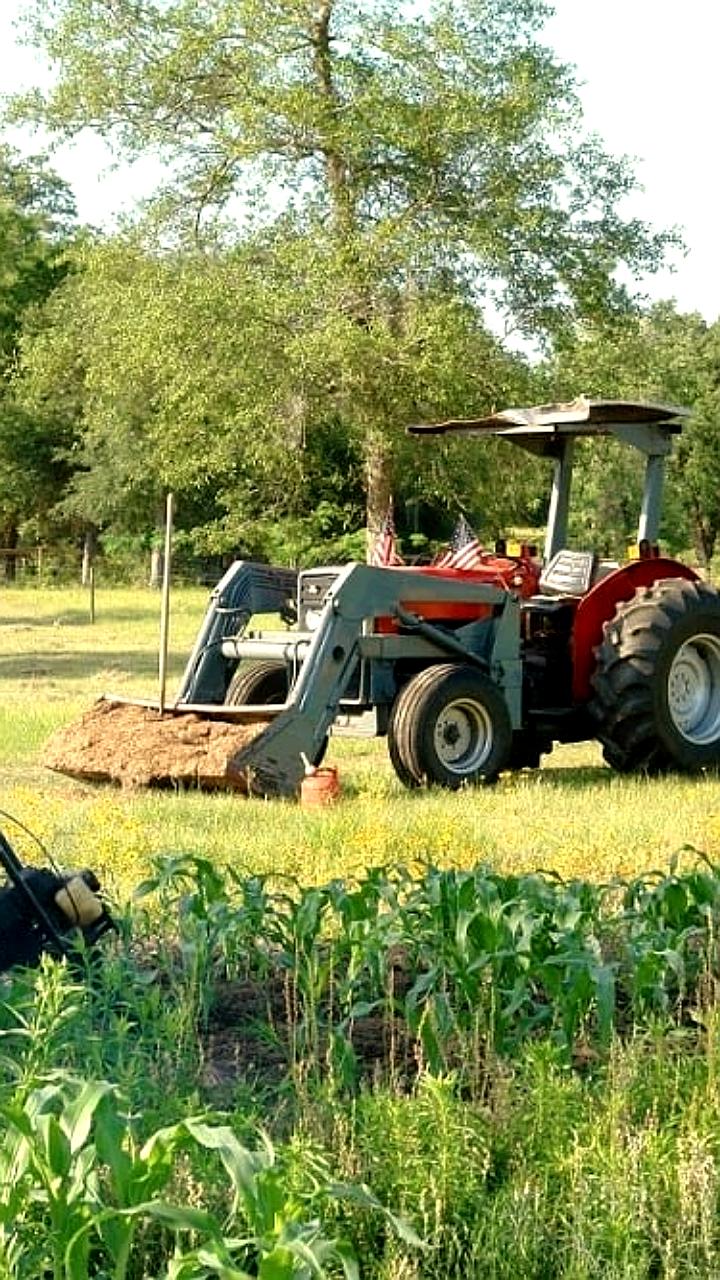 ЦФО лидирует по агрострахованию посевов на 2025 год с 3,55 млн гектаров