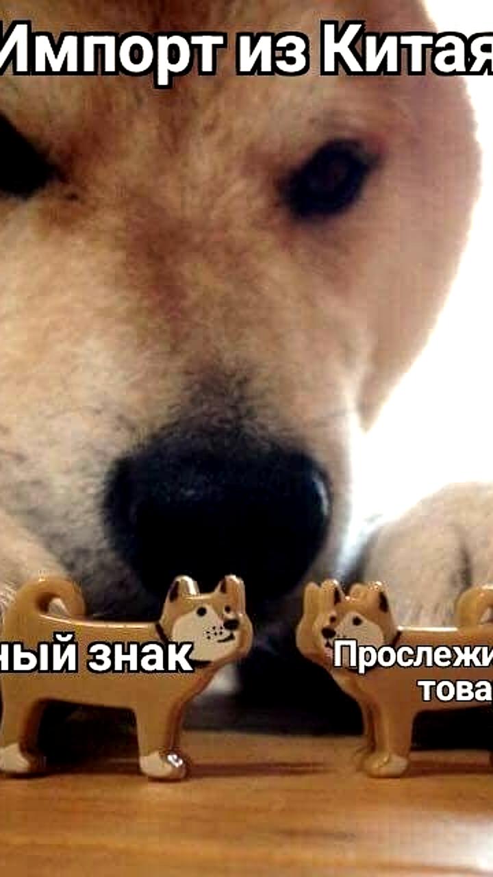 Снижение нелегального оборота товаров в России с 30% до 8-9% благодаря маркировке