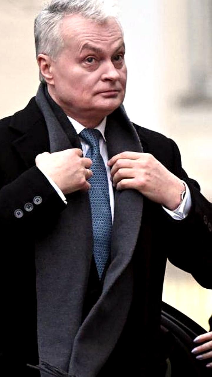 Самолет президента Литвы задержал посадку из-за беспилотника